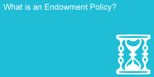 what is an endowment policy