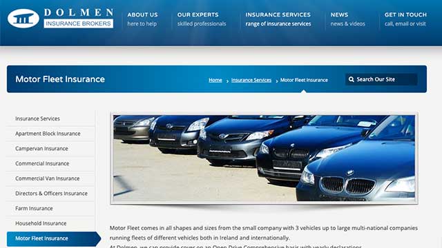 dolmen fleet insurance