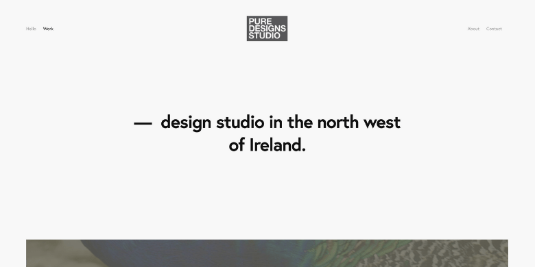 Pure Designs Studio